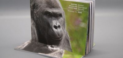 Sustainable ‘Strategy to 2035’ Brochure